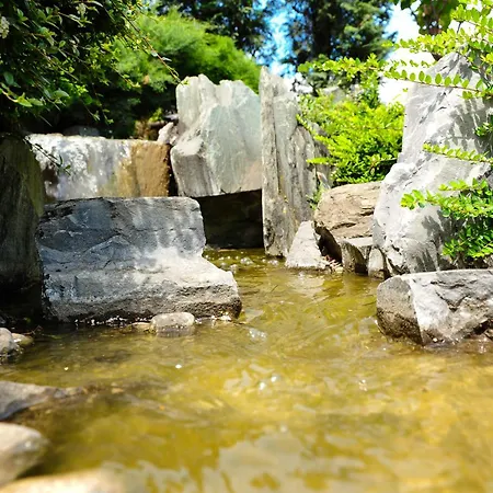 Il Carrettino Country 3*